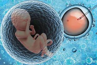 胚胎培养